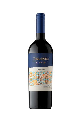 Terranoble Reserva Merlot 75Cl